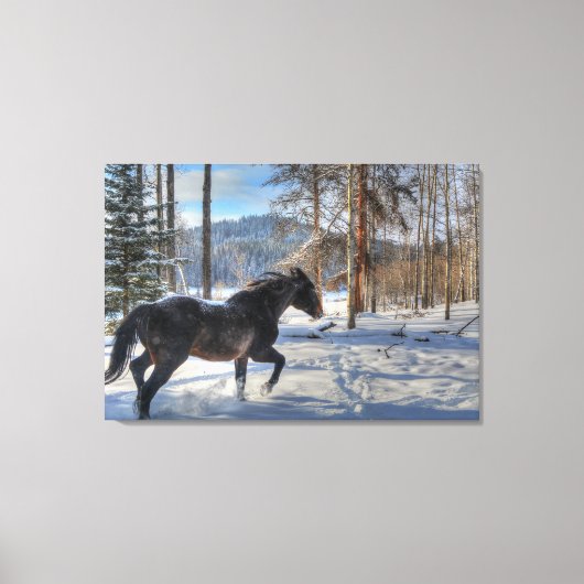 Cantering Black Percheron Pferd & Schnee Foto 2 Leinwanddruck (Vorderseite)