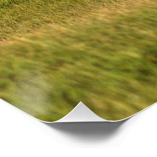 Cantering Sorrel Mare & Ranch Pasta Equine Foto Poster (Ecke)