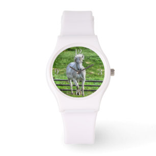 Cantering White Horse Equine Foto Armbanduhr