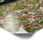Cantigny Park Fotodruck (Ecke)