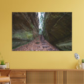 Cantwell Cliffs, Hocking Hills Staat Park, Ohio Leinwanddruck (Insitu (Wohnzimmer))