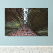 Cantwell Cliffs, Hocking Hills Staat Park, Ohio Leinwanddruck (Insitu (Holzboden))
