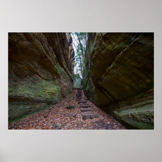 Cantwell Cliffs, Hocking Hills Staat Park, Ohio Poster (Vorne)