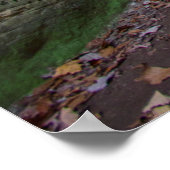 Cantwell Cliffs, Hocking Hills Staat Park, Ohio Poster (Ecke)