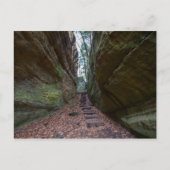 Cantwell Cliffs, Hocking Hills Staat Park, Ohio Postkarte (Vorderseite)