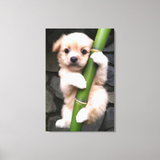 Canvas Cute Puppy Gaejook 개죽이  Leinwanddruck