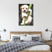 Canvas Cute Puppy Gaejook 개죽이  Leinwanddruck (Insitu (Schlafzimmer))