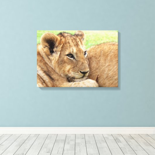 Canvas-Druck für Baby Tiger Leinwanddruck (Insitu (Holzboden))