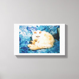 Canvas drucken mit persischer Katze Leinwanddruck