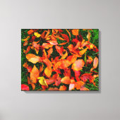 Canvas Herbstleaves Leinwanddruck (Vorderseite)