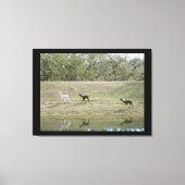 Canvas print - Alpacas auf dem Hügel Leinwanddruck (Vorderseite)