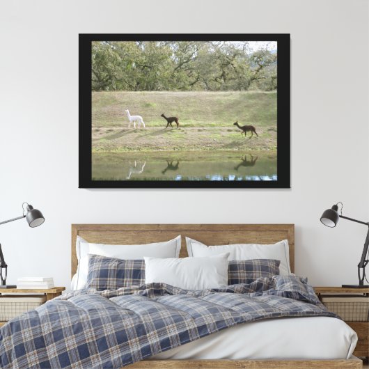 Canvas print - Alpacas auf dem Hügel Leinwanddruck (Insitu (Schlafzimmer))