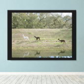 Canvas print - Alpacas auf dem Hügel Leinwanddruck (Insitu (Holzboden))