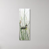 Canvas Print - American Coot in Reeds Leinwanddruck (Vorderseite)