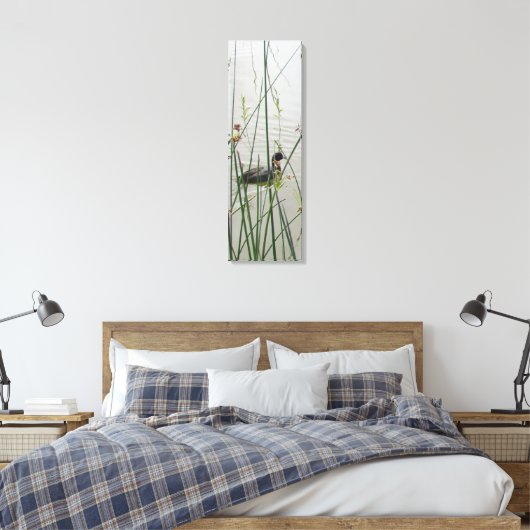Canvas Print - American Coot in Reeds Leinwanddruck (Insitu (Schlafzimmer))