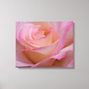 Canvas Print Beautiful Pink Rose Leinwanddruck