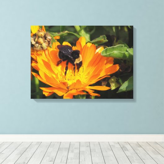 Canvas Print - Calendula und Biene Leinwanddruck (Insitu (Holzboden))