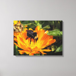 Canvas Print - Calendula und Biene Leinwanddruck
