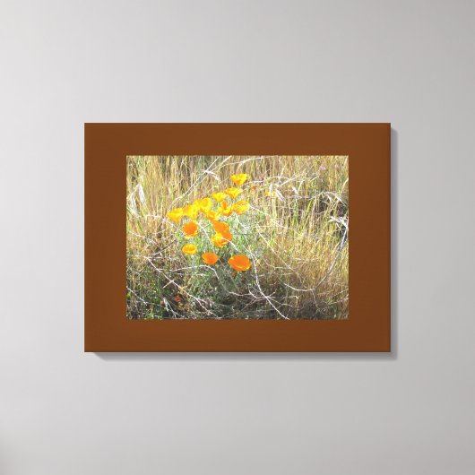 Canvas Print - California Mohn Leinwanddruck (Vorderseite)