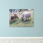 Canvas print - Drei Schafe Leinwanddruck (Insitu (Holzboden))