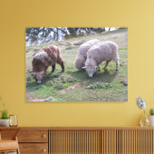 Canvas print - Drei Schafe Leinwanddruck (Insitu (Wohnzimmer))