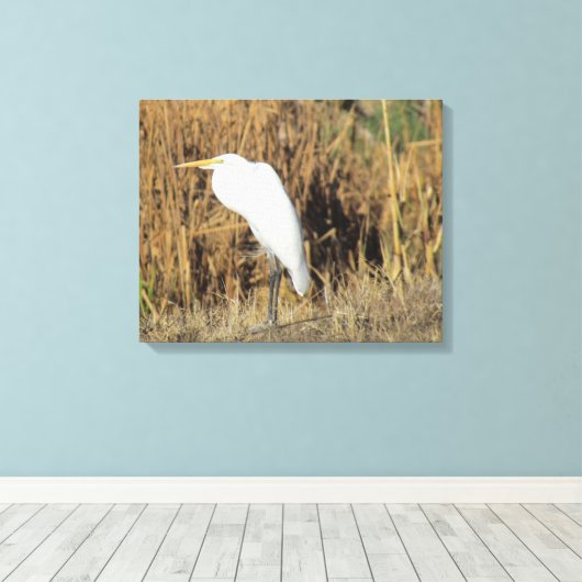 Canvas Print - Egret in Gras Leinwanddruck (Insitu (Holzboden))