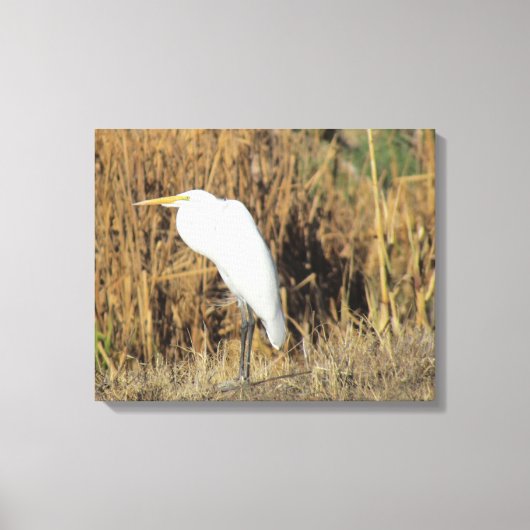 Canvas Print - Egret in Gras Leinwanddruck (Vorderseite)