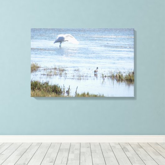 Canvas Print - Egret Preening Leinwanddruck (Insitu (Holzboden))