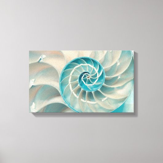 Canvas Print-Fibonacci Sequence in Nature Sea Life Leinwanddruck (Vorderseite)