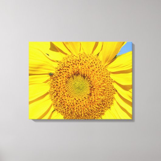 Canvas Print - Fly on Sunflower Leinwanddruck (Vorderseite)