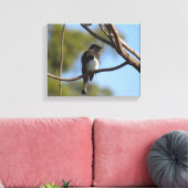 Canvas print - flycatcher in tree leinwanddruck (Insitu (Wohnzimmer))