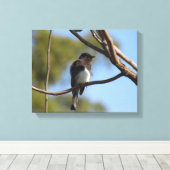 Canvas print - flycatcher in tree leinwanddruck (Insitu (Holzboden))