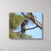 Canvas print - flycatcher in tree leinwanddruck (Vorderseite)