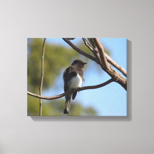 Canvas print - flycatcher in tree leinwanddruck (Vorderseite)