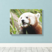 Canvas Print Foto rote Panda , Tiere 0172. Leinwanddruck (Insitu (Holzboden))