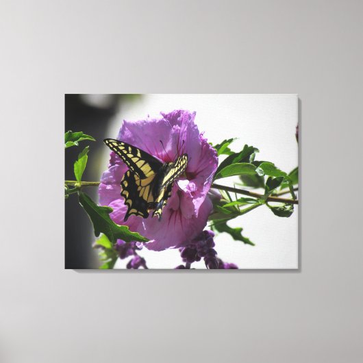 Canvas Print - Frack Butterfly Leinwanddruck (Vorderseite)