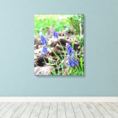 Canvas Print - Grape Hyacynth Leinwanddruck (Insitu (Holzboden))