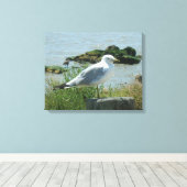 Canvas Print - Gull on Piling Leinwanddruck (Insitu (Holzboden))