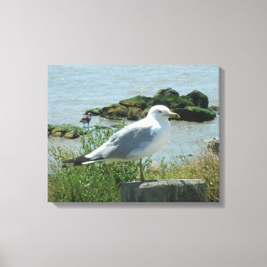 Canvas Print - Gull on Piling Leinwanddruck (Vorderseite)