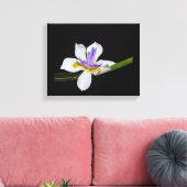 Canvas Print - Iris - Liege von zwei Wochen Leinwanddruck (Insitu (Wohnzimmer))