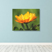 Canvas print - Kalendula Blüte Leinwanddruck (Insitu (Holzboden))