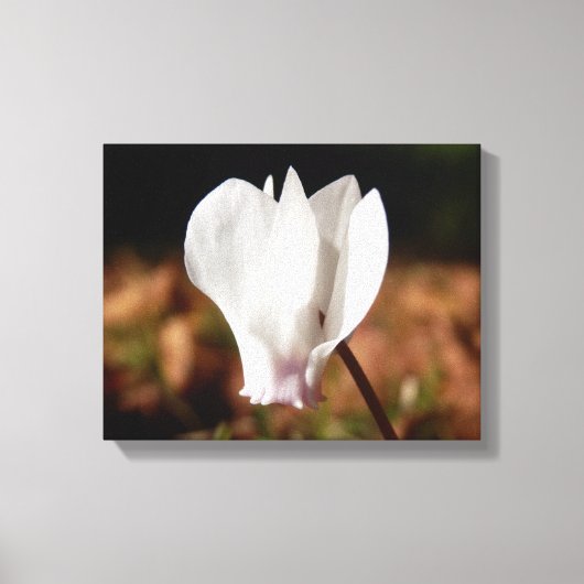 Canvas Print Leinwanddruck (Vorderseite)