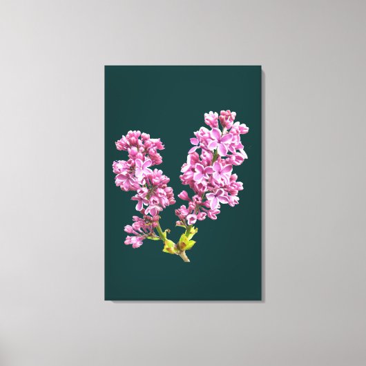 Canvas Print - Lilac Blossoms Leinwanddruck (Vorderseite)