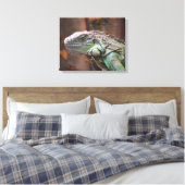 Canvas Print mit farbiger Iguana-Eidechse Leinwanddruck (Insitu (Schlafzimmer))