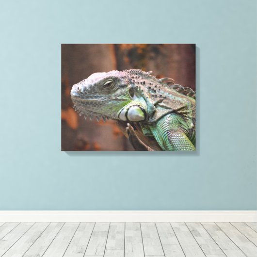 Canvas Print mit farbiger Iguana-Eidechse Leinwanddruck (Insitu (Holzboden))