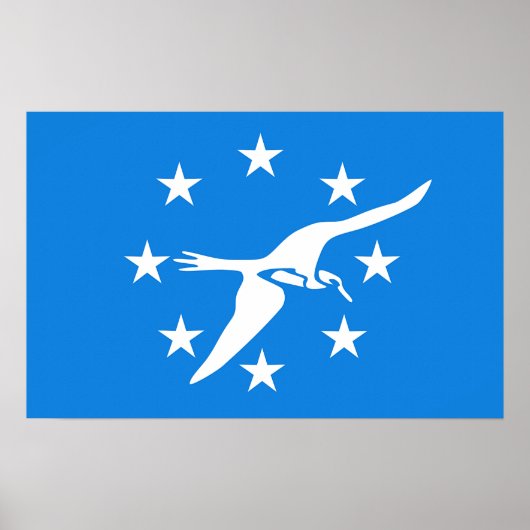 Canvas Print mit Flag von Corpus Christi, USA. Poster (Vorne)