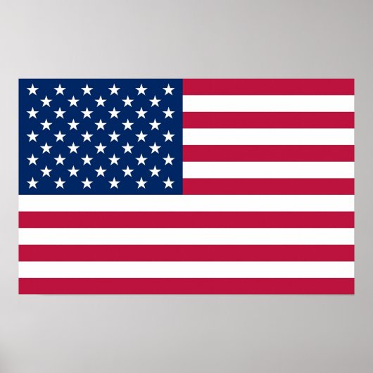 Canvas Print mit Flag von U.S.A. Poster (Vorne)