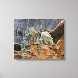 Canvas Print mit neugierigen Eidechsen Leinwanddruck