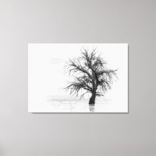Canvas Print mit Single Baum in Wasser Schwarz-wei Leinwanddruck