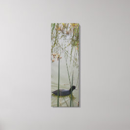 Canvas Print - Mud Hen in Reeds Leinwanddruck